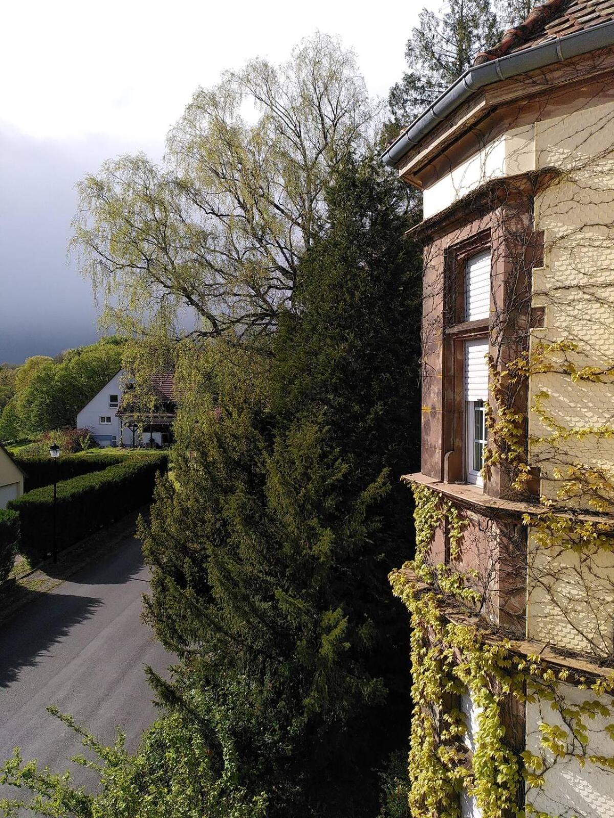 Chez Jeanne A La Villa Gruber La Petite-Pierre Dış mekan fotoğraf