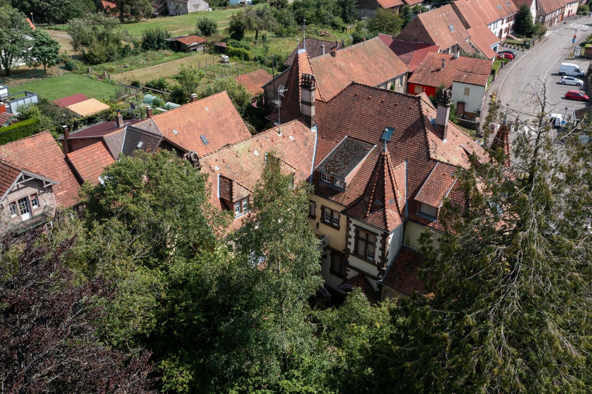 Chez Jeanne A La Villa Gruber La Petite-Pierre Dış mekan fotoğraf